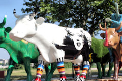 Cow Parade de Bordeaux : le plancher des vaches
