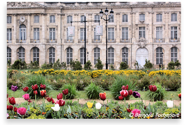 Bordeaux : le Jardin des Lumières | 33-bordeaux.com