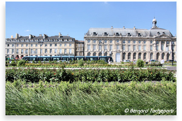 Bordeaux : le Jardin des Lumières | 33-bordeaux.com