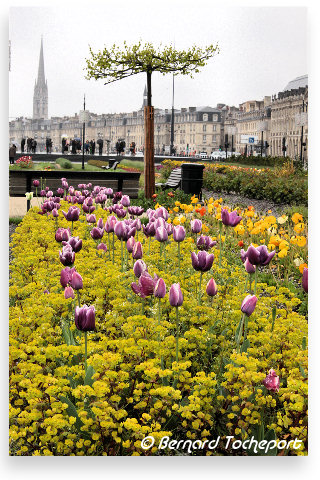 Bordeaux : le Jardin des Lumières | 33-bordeaux.com
