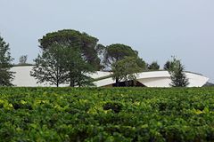 Saint Emilion wine tour : les chais du château Cheval Blanc