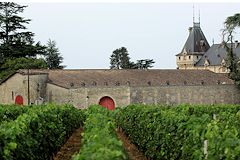 Saint Emilion wine tour vignes et chais