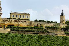 Saint Emilion wine tour : Clos la Madeleine