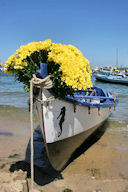 Arcachon bateau décoré pour la fête du fleuve -  photo 33-bordeaux.com