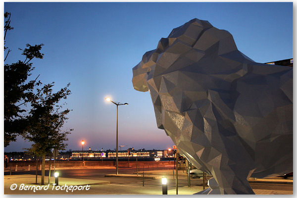 Bordeaux le lion bleu place Stalingrad regardant les quais de Bordeaux éclairés | Photo Bernard Tocheport