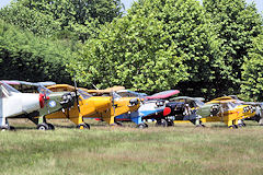 Concentration d'avions modèle Piper Cub à Andernos | Photo Bernard Tocheport