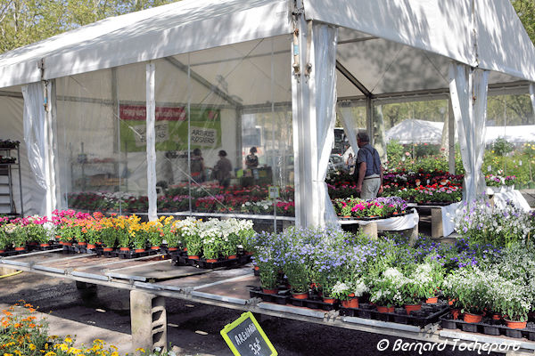 Foire de printemps et horticulture place des Quinconces Bordeaux | photo 33-bordeaux.com
