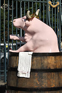 Cow Parade Bordeaux : Vacchus le beau vin, Jardin de l'Hôtel de Ville