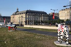 Cow Parade de Bordeaux : Bacchus Cow, quai Louis XVIII