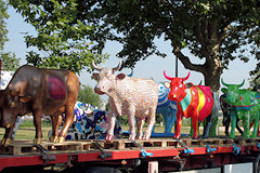 Cow Parade de Bordeaux : les vaches défilent