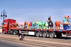 Cow Parade de Bordeaux : les vaches et le camion