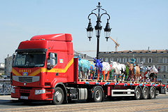 Cow Parade de Bordeaux Cow parade 2010 : le troupeau sur le pont de pierre