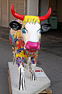 Cow Cow marché des Capucins