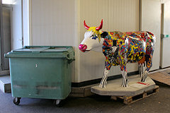 Cow Cow marché des Capucins