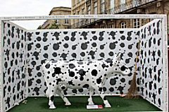 One Depack Cow per Field - place de la Comédie