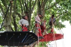 Séjour dans les arbres  Bordeaux Fête du fleuve 2015 