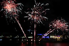 Feu d'artifice sur le thème de l'arbre  pour Bordeaux Fête du fleuve 2015