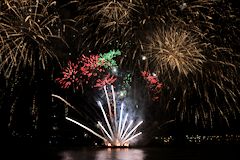 Magie des couleurs pour le feu d'artifice sur le thème de l'arbre 