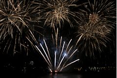 Feu d'artifice, des arbres lumineux dans le ciel bordelais | 33-bordeaux.com