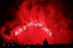 Symposium fireworks bordeaux 2015 - feu d'artifice place des Quinconces | photo 33-bordeaux.com