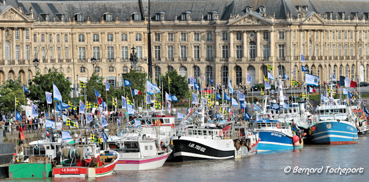 Bateaux de p^zche de La Cotinière au ponton d'Honneur de Bordeaux