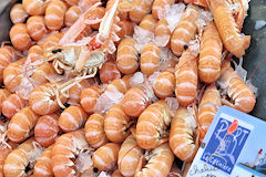 Langoustines du port de pêche de La Cotinière | 33-bordeaux.com