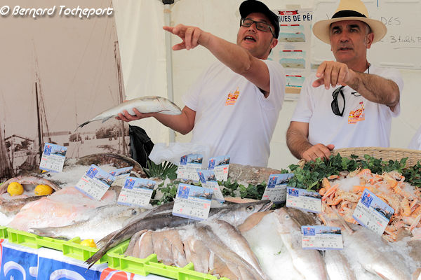 Vente de poisson de La Cotinière à la criée sur les quais de Bordeaux  | 33-bordeaux.com