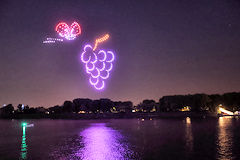 Bordeaux spectacle de drones grappe de raisin et papillon | photo Bernard Tocheport