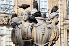 La fontaine de la place place du Parlement à Bordeaux accueillant des pigeons | Photo Bernard Tocheport