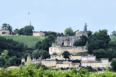 Croisières Marco Polo village et vignes depuis la Garonne | Photo Bernard Tocheport