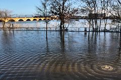 Débordement de la Garonne à Bordeaux -  photo 33-bordeaux.com