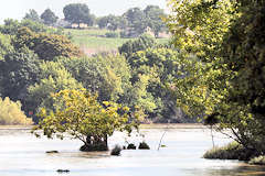 Paysage sur la Dordogne à bord du Pibal | Photo Bernard Tocheport