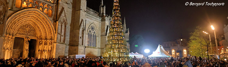 Sapin de Noël Bordeaux place Pey Berland | Photo Bernard Tocheport