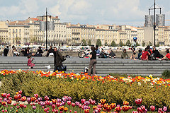 Bordeaux le jardin des lumières et le miroir d'eau | 33-bordeaux.com