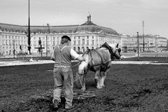 Bordeaux passage de la herse face à la fontaine des 3 grâces | 33-bordeaux.com