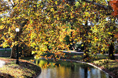 Feuillage d'automne au jardin public de Bordeaux |  photo 33-bordeaux.com