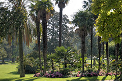 Palmeraie du Jardin public de Bordeaux |  photo 33-bordeaux.com