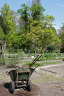 Entretien du jardin botanique