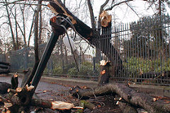 Arbres et lampadaire dévasté par la tempête 1999 |  photo 33-bordeaux.com