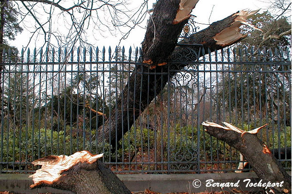 Tempête 1999 au Jardin public de Bordeaux | 33-bordeaux.com