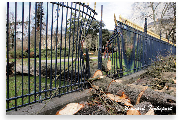 Tempête 2009 au Jardin public de Bordeaux | 33-bordeaux.com