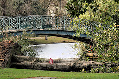Jardin public : arbre déraciné devant le petit pont |  photo 33-bordeaux.com