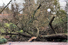 Jardin public après la tempête 2009 |  photo 33-bordeaux.com