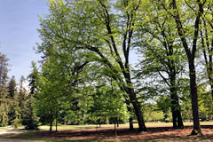 Clairière du Parc Bordelais | Photo Bernard Tocheport