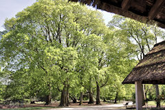 Abris et arbres du Parc Bordelais | Photo Bernard Tocheport