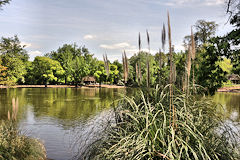 Le lac et la végétation entourant le Parc Bordelais | Photo Bernard Tocheport