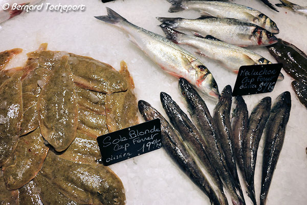 Stand poissonnerie aux Halles de Bacalan à Bordeaux | Photo Bernard Tocheport