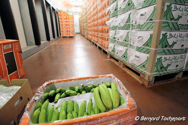 Murisserie de bananes au marché de Brienne à Bordeaux  | 33-bordeaux.com