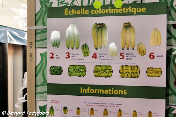 Colorimétrie des bananes au marché de Brienne à Bordeaux  | 33-bordeaux.com