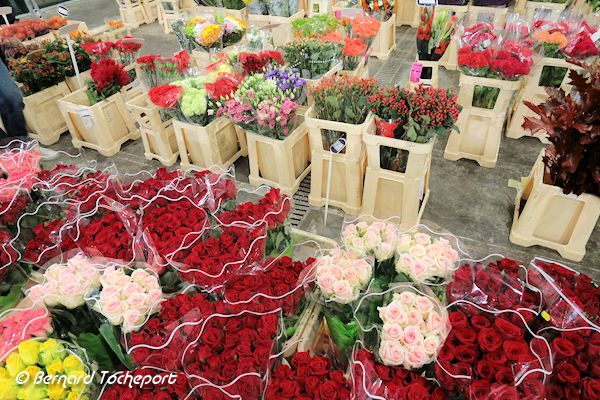 Roses au marché aux fleurs de Brienne | 33-bordeaux.com